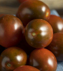Rajče Brown Berry - Solanum lycopersicum - osivo rajčat - 7 ks