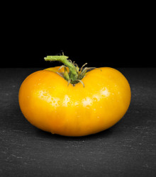 Rajče Azoychka - Lycopersicon esculentum - osivo rajčat - 8 ks