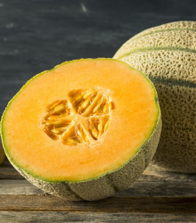 Meloun cukrový Stellio F1 - Cucumis melo - osivo melounu - 6 ks