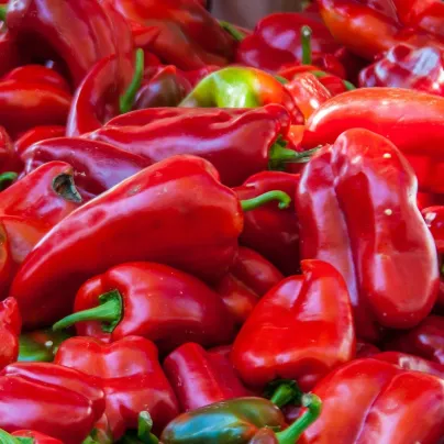 Paprika Lipari F1 - Capsicum annuum - osivo papriky - 5 ks