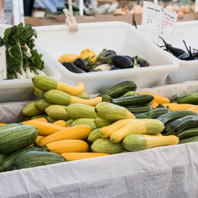 Cuketa Zephyr F1 - Cucurbita pepo - osivo cukety - 6 ks