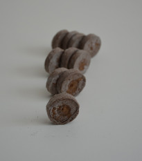 Sadbovací tablety - Jiffy - rašelinové zakořeňovače