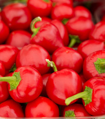 Paprika rajčinová Ontara - Capsicum annuum - osivo papriky - 40 ks