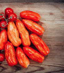Rajče Skvrnitý Říman - Solanum lycopersicum - osivo rajčat - 6 ks