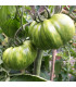 BIO Rajče Zelená zebra - Solanum lycopersicum - bio osivo rajčat - 6 ks