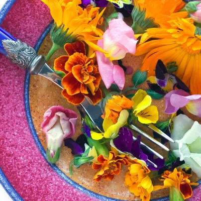 Letničky pro gurmány - směs - osivo letniček - 0,5 g