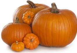 Dýně: zdravá zelenina, která se snadno pěstuje