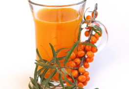 Rakytník je jako léčivá rostlina nenahraditelný