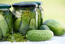 Pěstování okurek ze semínka