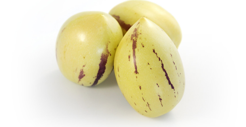 Pepino Gold – exotická trvalka s chutnými plody