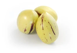 Pepino Gold – exotická trvalka s chutnými plody