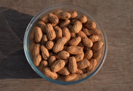 Podzemnice olejná čili burské oříšky