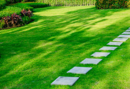 Jak se postarat na podzim o trávník, aby i na jaře dělal radost