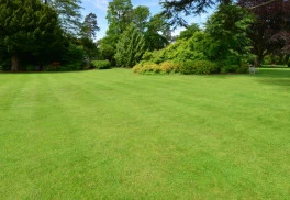 Jak na správný výběr trávníkového osiva?