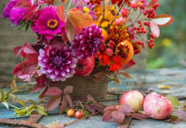 Co dělat v srpnu na zahradě?