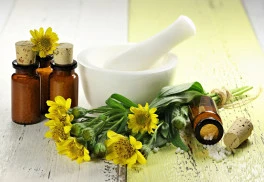 Abeceda bylinek – prha arnika