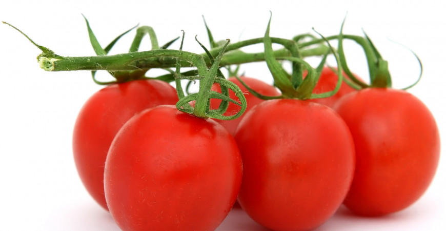 Pěstujete rajčata? Jak se o ně v letních měsících správně starat?