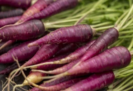 Zeleninové výsevy v zimních měsících (3)