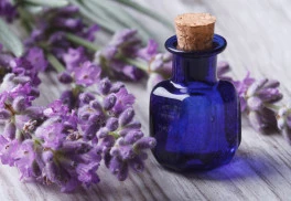 Nejvoňavější bylinka zahrady má uklidňující vliv nejen na tělo, ale i na duši