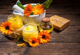 Abeceda bylinek – měsíček lékařský