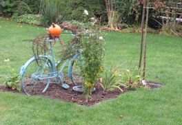 Není váš trávník dokonalý a chcete to změnit? Připravte ho správně na zimu. 