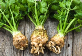 Bylinky od A do Z, aneb není bylina, aby na něco nebyla - 1. díl