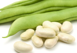 Fazole vyséváme do teplé půdy, na rozdíl od hrášku nebo zahradního bobu, ti jsou otužilí