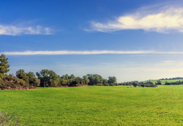 Jaro už zaklepalo na dveře, je čas také na péči o trávník