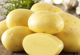 Sázíme a pěstujeme: brambory