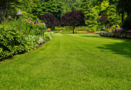 Jarní péče o trávník