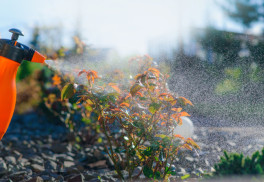 Jak chránit úrodu bez chemie?