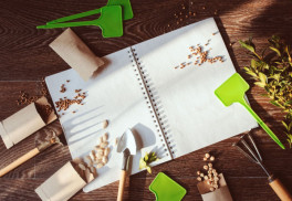 Plánujeme zeleninové záhony