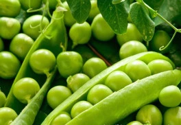 Plodina, která se uplatní v každé kuchyni - hrách