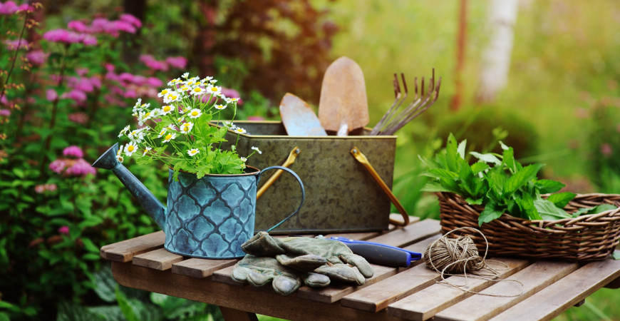 Zahradnice a zahradníci si dovolenou vzít nemohou, přinášíme červencové tipy pro péči o zahradu