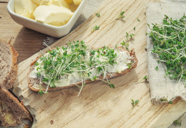 Řeřicha – vitamínová bomba v zimě