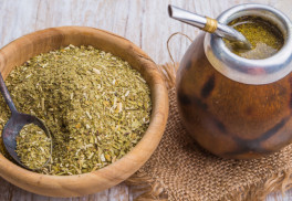 Yerba maté – zdravější než káva