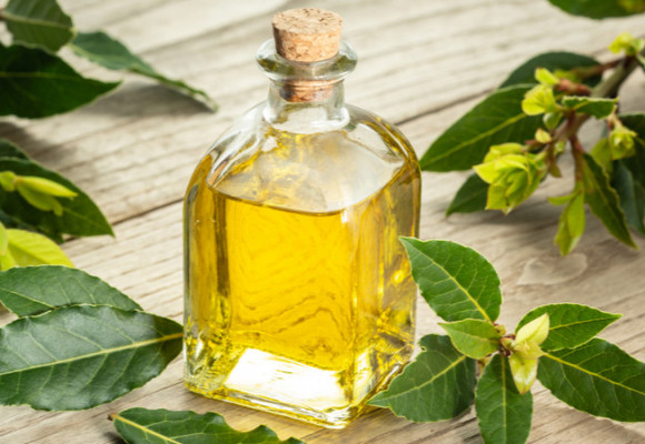 Olej z bobkového listu pomůže na bolavá záda a klouby